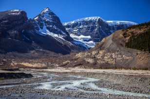 Columbia Icefields-4125 Columbia Icefields-4125